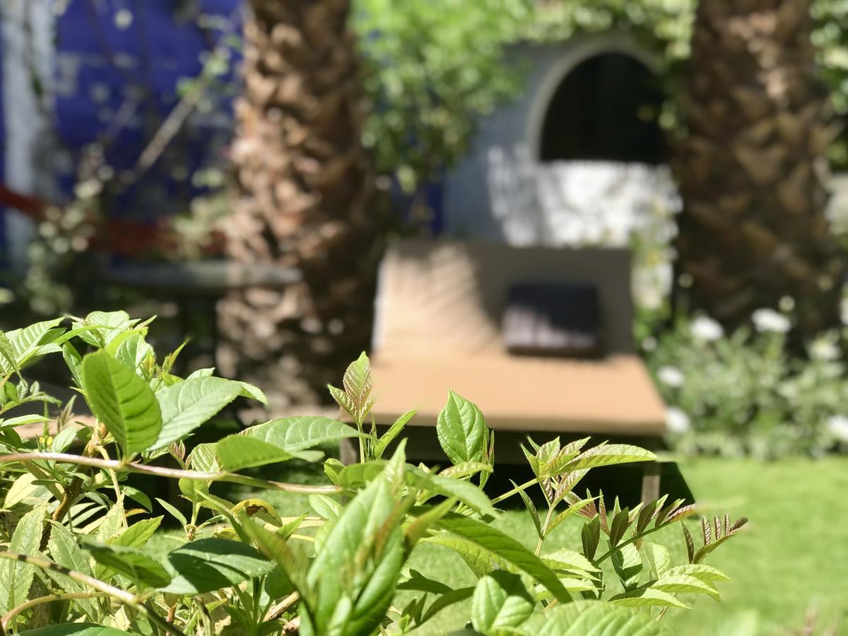 Grace Valley Hotel Arequipa Kültér fotó