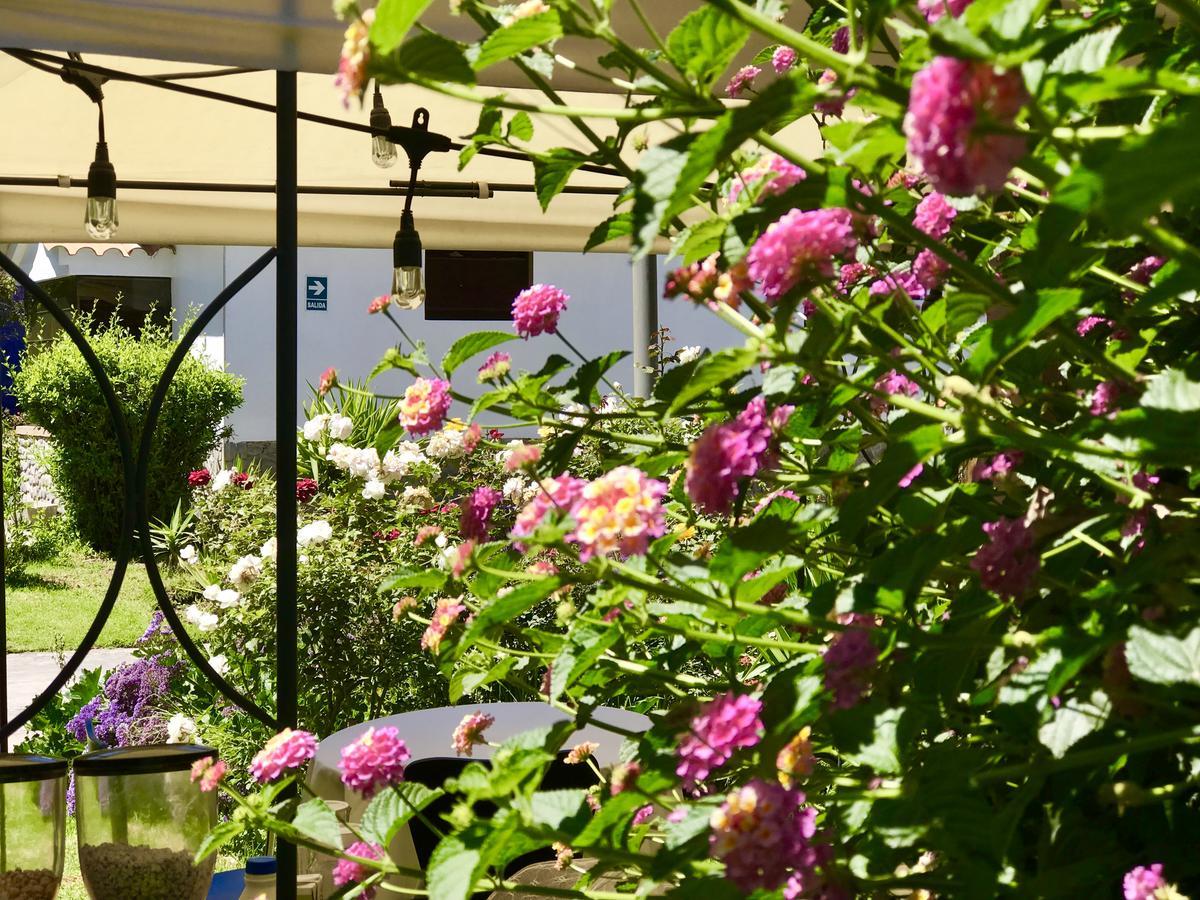Grace Valley Hotel Arequipa Kültér fotó