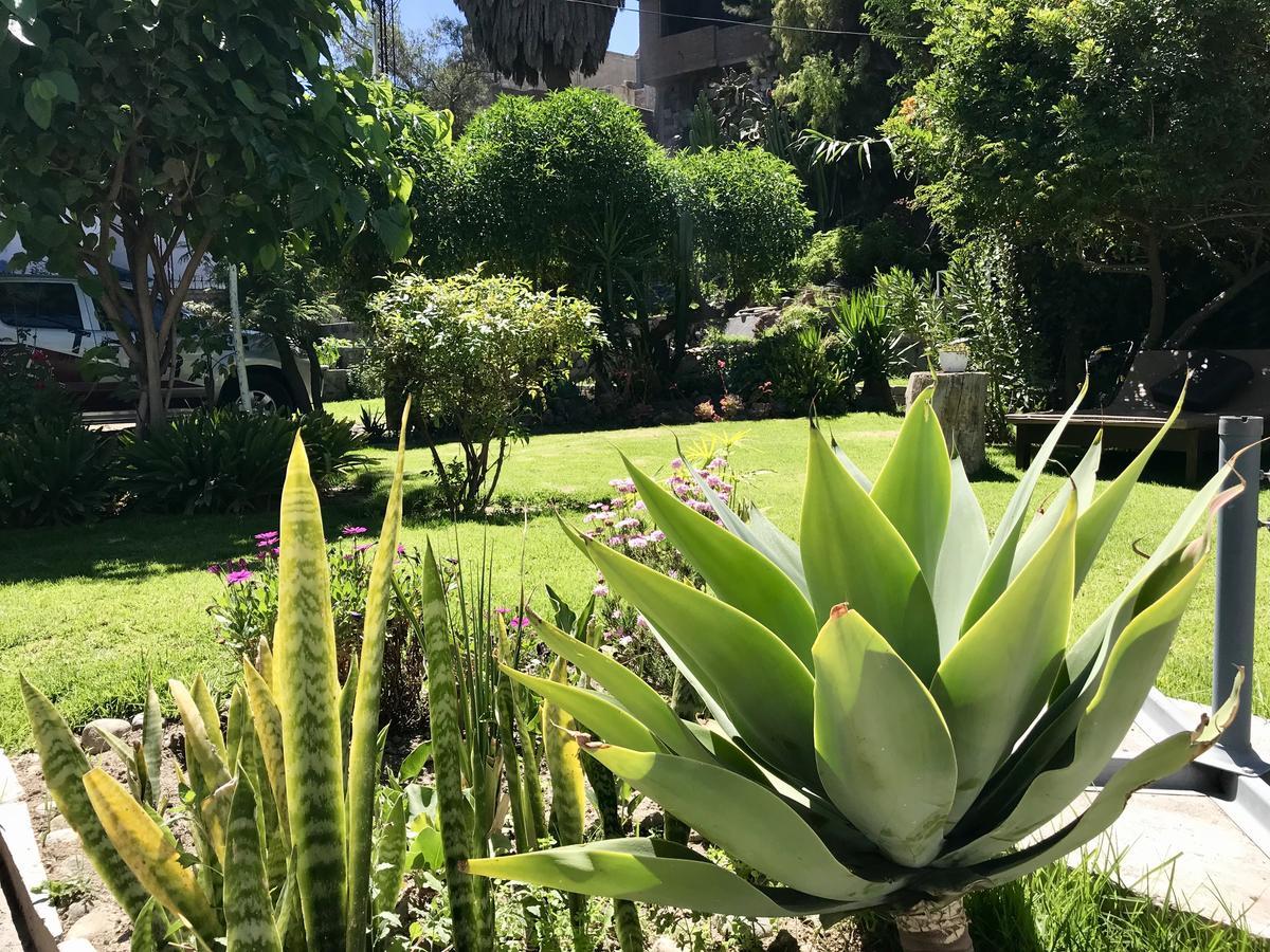 Grace Valley Hotel Arequipa Kültér fotó