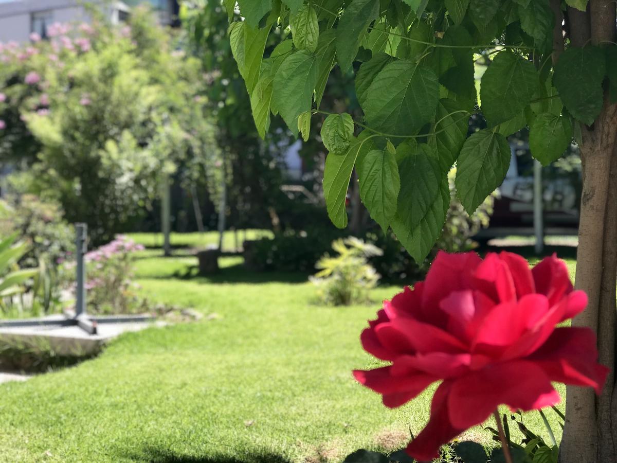 Grace Valley Hotel Arequipa Kültér fotó